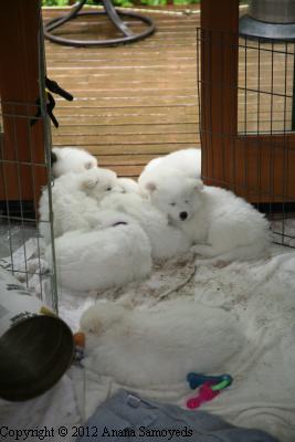 Rain induced cluster